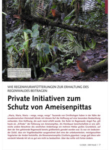 WIE REGENWURMFTTERUNGEN ZUR ERHALTUNG DES REGENWALDES BEIT TRAGEN SCHUTZ AMEISENPITTAS