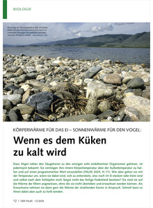 KRPERWRME FR DAS EI SONNEN WRME FR DEN VOGEL WENN ES DEM KKEN ZU KALT WIRD