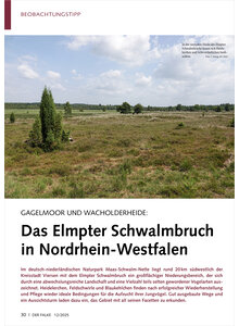 GAGELMOOR UND WACHOLDERHEIDE DAS ELMPTER SCHWALMBRUCH IN NORDRHEIN-WESTFALEN