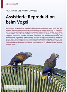 HILFSMITTEL DES ARTENSCHUTZES ASSISTIERTE REPRODUKTION BEIM VOGEL