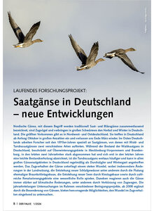 Auf diesem Bild sehen Sie das Produktbild f�r LAUFENDES FORSCHUNGSPROJEKT SAATG�NSE IN DEUTSCHLAND NEUE ENTWICKLUNGEN