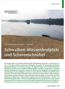 Auf diesem Bild sehen Sie das Produktbild f�r FLUSSINSELN IM KONGOBECKEN SCHWALBEN-MASSENBRUTPLATZ UND SCHERENSCHN�BEL