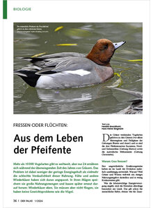 Auf diesem Bild sehen Sie das Produktbild f�r FRESSEN ODER FL�CHTEN AUS DEM LEBEN DER PFEIFENTE