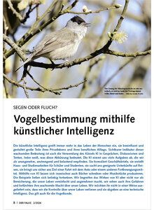 SEGEN ODER FLUCH VOGELBESTIMM UNG MITHILFE K�NSTLICHER INTELLIGENZ
