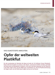 WAS KUNSTSTOFFE ANRICHTEN OPFE R DER WELTWEITEN PLASTIKFLUT