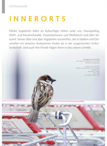 FOTOGALERIE INNERORTS