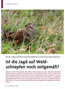 ETWA 14000 GET�TETE WALDSCHNEP FEN IST DIE JAGD AUF WALDSCHNEPFEN NOCH ZEITGEM�SS