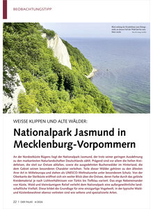 WEISSE KLIPPEN UND ALTE W�LDER NATIONALPARK JASMUND IN MECKLE NBURG-VORPOMMERN