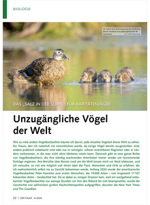 DAS SALZ IN DER SUPPE F�R RA RARIT�TENJ�GER UNZUG�NGLICHE V�GEL DER WELT