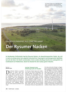 EIN VOGELPARADIES AUS ZWEITER HAND DER RYSUMER NACKEN