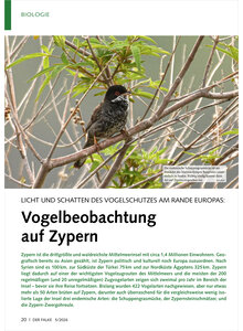 LICHT UND SCHATTEN DES VOGEL SCHUTZES AM RANDE EUROPAS VOGELBEOBACHTUNG AUF ZYPERN