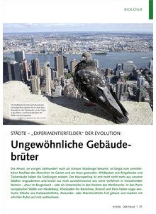 ST�DTE - EXPERIMENTIERFELDER DER EVOLUTION UNGEW�HNLICHE GEB�UDEBR�TER