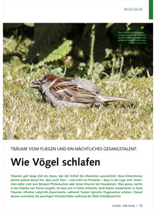 Auf diesem Bild sehen Sie das Produktbild f�r TR�UME VOM FLIEGEN UND EIN N�CHTLICHES GESANGSTALENT WIE V�GEL SCHLAFEN