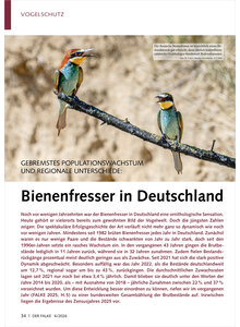 Auf diesem Bild sehen Sie das Produktbild f�r GEBREMSTES POPULATIONSWACHSTUM UND REGIONALE UNTERSCHIEDE BIENENFRESSER in DEUTSCHLAND