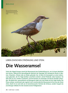 Auf diesem Bild sehen Sie das Produktbild f�r LEBEN ZWISCHEN STR�MUNG UND STEIN DIE WASSERAMSEL