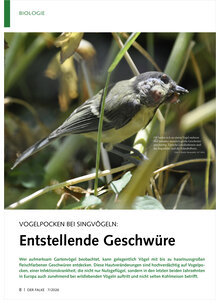 VOGELPOCKEN BEI SINGV�GELN ENTSTELLENDE GESCHW�RE