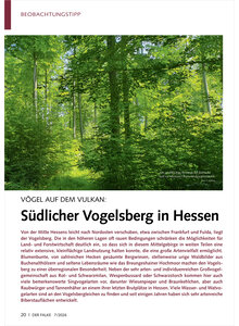 V�GEL AUF DEM VULKAN S�DLICHER VOGELSBERG IN HESSEN