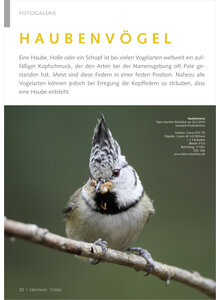 FOTOGALERIE HAUBENV�GEL