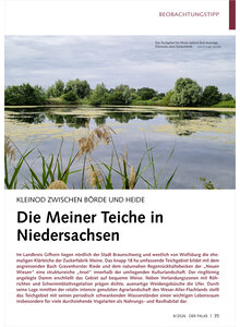 KLEINOD ZWISCHEN B�RDE UND HEIDE DIE MEINER TEICHE IN NIEDERSACHSEN