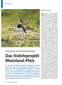 VIELSEITIGE SCHUTZMASSNAHMEN DAS KIEBITZPROJEKT RHEINLAND- PFALZ