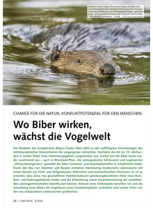 CHANCE F�R DIE NATUR KONFLIKT POTENZIAL WO BIBER WIRKEN W�CHST DIE VOGELWELT