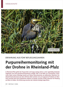 ERFAHRUNG AUS F�NF BEFLIEGUNGS JAHREN PURPURREIHERMONITORING MIT DER DROHNE RHEINLAND-PFALZ