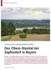 VON BLAUKEHLCHEN BIS ZWERG SCHARBE DAS OBERE MAINTAL BEI ZAPFENDORF IN BAYERN