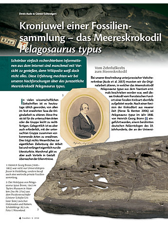 KRONJUWEL EINER FOSSILIEN- SAMMLUNG - DAS MEERES- KROKODIL PELAGOSAURUS TYPUS