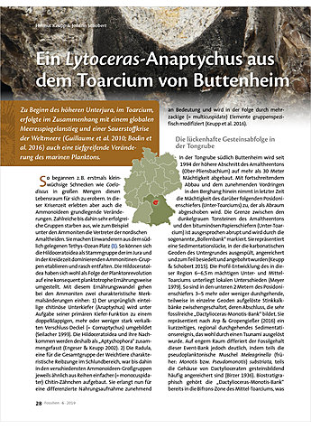 EIN LYTOCERAS-ANAPTYCHUS AUS DEM TOARCIUM VON BUTTENHEIM