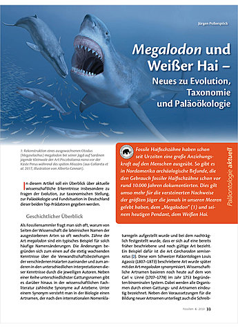 MEGALODON UND WEIER HAI - NEUES ZU EVOLUTION, TAXONOMIE UND PALOKOLOGIE