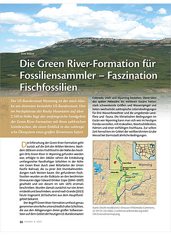 DIE GREEN RIVER-FORMATION FÜR FOSSILIENSAMMLER - FASZINATION FISCHFOSSILIEN