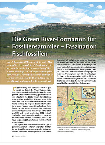 DIE GREEN RIVER-FORMATION FR FOSSILIENSAMMLER - FASZINATION FISCHFOSSILIEN