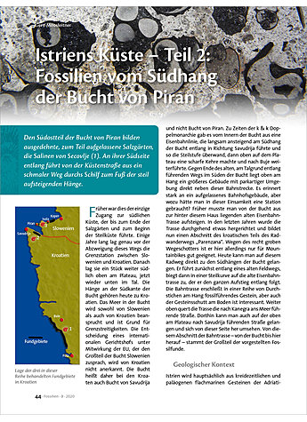 ISTRIENS KSTE - TEIL 2: FOSSILIEN VOM SDHANG DER BUCHT VON PIRAN