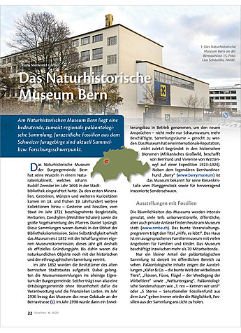 DAS NATURHISTORISCHE MUSEUM BERN