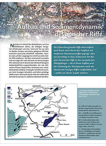 VERGLEICH MIT HEUTIGEN WARMWAS SERRIFFEN. AUFBAU UND SEDIMENT DYNAMIK DEVONISCHER RIFFE