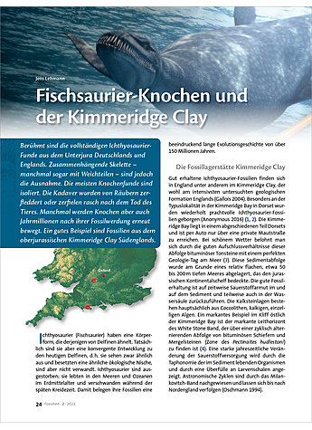 FISCHSAURIER-KNOCHEN UND DER KIMMERIDGE CLAY