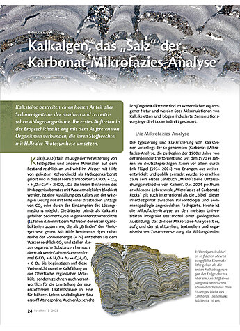 KALKALGEN, DAS SALZ DER KARBONAT-MIKROFAZIES-ANALYSE