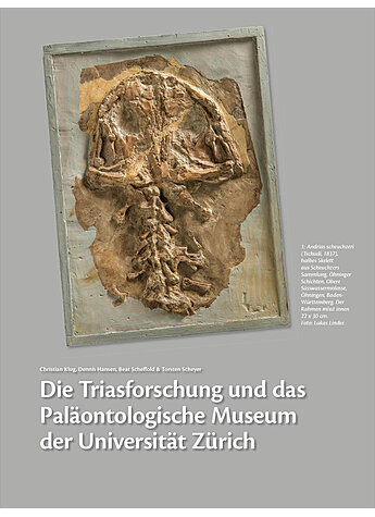 DIE TRIASFORSCHUNG UND DAS PALONTOLOGISCHE MUSEUM DER UNIVERSITT ZRICH