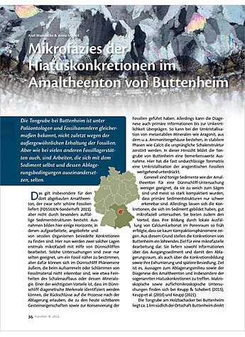 MIKROFAZIES DER HIATUSKONKRETIONEN IM AMALTHEENTON VON BUTTENHEIM