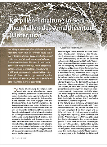 KOTPILLEN-ERHALTUNG IN SEDIMENTFALLEN DES AMALTHEENTONS (UNTERJURA)