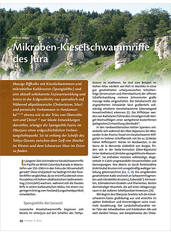 MIKROBEN-KIESELSCHWAMMRIFFE DES JURA