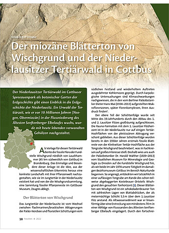 DER MIOZNE BLTTERTON VON WIS CHGRUND UND DER NIEDERLAUSITZE R TERTIRWALD IN COTTBUS