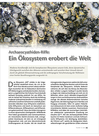 ARCHAEOCYATHIDEN-RIFFE: EIN KOSYSTEM EROBERT DIE WELT