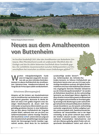 NEUES AUS DEM AMALTHEENTON VON BUTTENHEIM