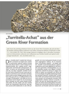 TURRITELLA-ACHAT AUS DER GREEN RIVER FORMATION