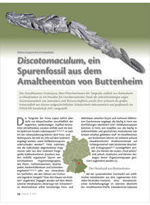 DISCOTOMACULUM, EIN