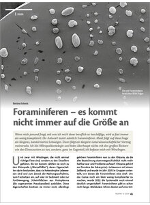 FORAMINIFEREN - ES KOMMT NICHT IMMER AUF DIE GRSSE AN