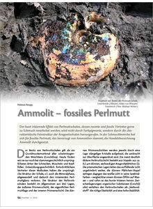 AMMOLIT - FOSSILES PERLMUTT
