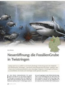 Auf diesem Bild sehen Sie das Produktbild fr NEUERFFNUNG: DIE FOSSILIENGRUBE IN TWISTRINGEN