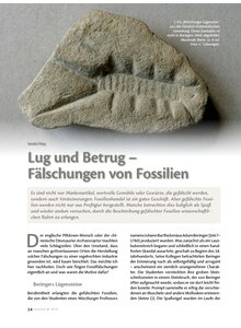 Auf diesem Bild sehen Sie das Produktbild fr LUG UND BETRUG - FLSCHUNGEN VON FOSSILIEN